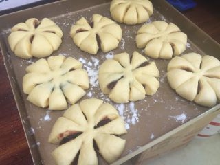 9、花朵豆沙面包,依次做好其他的胚，放入烤盘中，烤盘抹上油和高粉；静置15分钟；