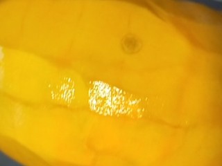 3、奶香南瓜粥,去死切开