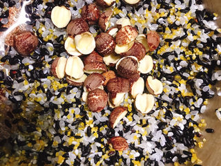 3、黑米红薯粥,红莲子洗干净放入锅中