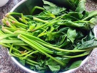 1、蒜蓉菠菜,准备新鲜的菠菜摘除杂草和杂叶洗净备用