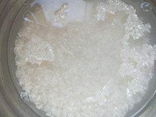 4、菠菜猪肝粥,冲洗干净。