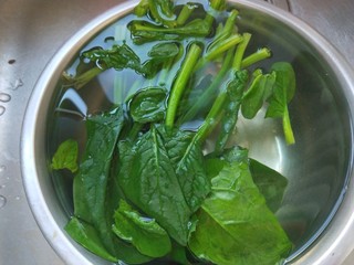 7、菠菜猪肝粥,菠菜烫水剁碎。