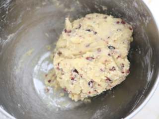 8、香酥美味蔓越莓饼干,用刮刀搅拌均匀，和成面团。