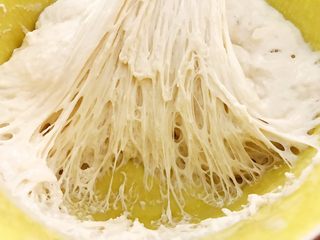 1、波兰种——香葱肉松手撕面包,波兰种材料混合均匀盖上保鲜膜放入冰箱冷藏发酵一晚，撕开里面全是密集的小孔即可