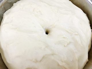 5、波兰种——香葱肉松手撕面包,发酵完成，用手指插入不回缩不塌陷