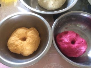 7、三色馒头,三种颜色面团发酵至2倍大的面团，中间戳洞不回弹，面团里部呈蜂窝状，发酵完成；