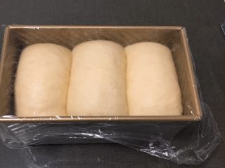 10、快速早餐吐司片-椰蓉味,吐司发酵至九分满，盖上盖子。