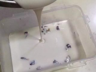 9、红枣核桃糯米糕,把搅拌好的糯米糊倒入保鲜盒内。