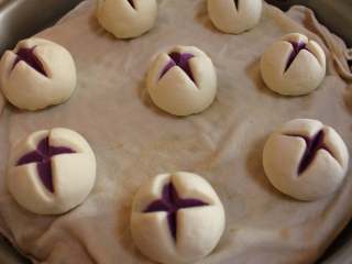 15、开花紫薯馒头,把所有的面团用同样的方法整形好。放进装有温水的蒸锅里进行2次发酵。发酵到1.5倍大的样子就可以开火蒸了，开中火蒸15分钟关火焖5分钟即可