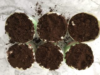 17、盆栽草莓蛋糕,撒上一层奥利奥饼干碎。