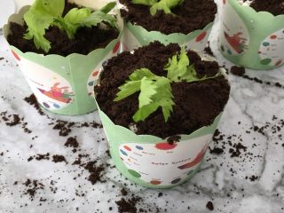 18、盆栽草莓蛋糕,放上芹菜的叶子装饰。