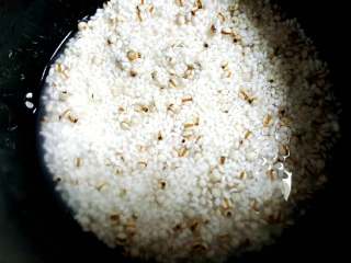 3、薏米鸡丝菠菜粥,大米薏米洗净