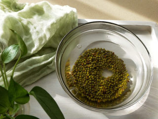 2、绿豆小米粥,先将绿豆用水浸泡2小时以上。