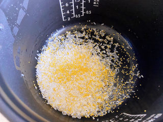 5、绿豆小米粥,加入小米。