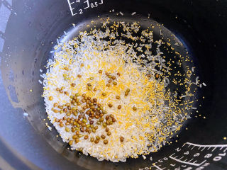 6、绿豆小米粥,再放入事先泡好的绿豆,将这些一起淘洗干净,不需要过度淘洗。