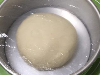 16、奶黄馒头,拿出整理一下，滚圆放入模具，盖上保鲜膜。