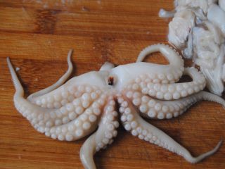 2、八爪鱼蘑菇粥,2.把八爪鱼头切开去掉里面的眼骨