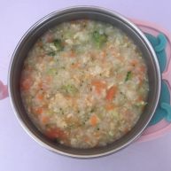 宝宝鸡肉粥