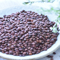 【药膳-失眠】酸枣仁改善失眠，个小，功效大