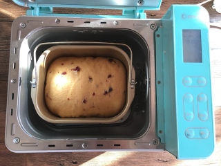 9、红糖蔓越莓吐司,面包发酵至桶8分满，面包就可以开始烘烤了。