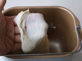 2、平底锅披萨,揉到可以拉出薄膜；开始发酵；