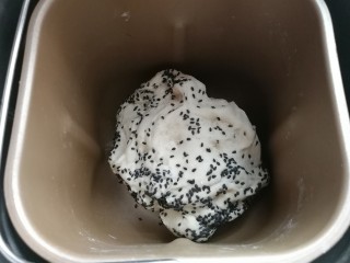 4、黑芝麻红薯全麦面包（波兰种）,揉面至最后5分钟时加入黑芝麻，继续揉面至完全扩展阶段；