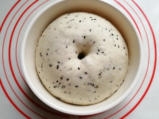 8、黑芝麻红薯全麦面包（波兰种）,面团发酵至2~2.5倍大时，手指戳洞不回缩不塌陷即发面完成；