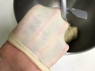 3、牛奶炼乳蔓越莓软欧,继续揉至可以拉出薄而有韧性的膜，完全扩展阶段。