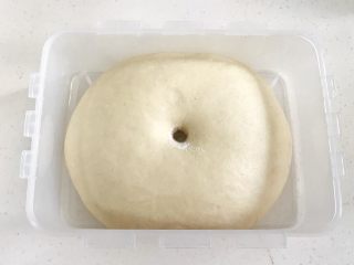 5、牛奶炼乳蔓越莓软欧,面团发至原来的两倍大，手指沾粉戳洞，不回缩不塌陷即可。