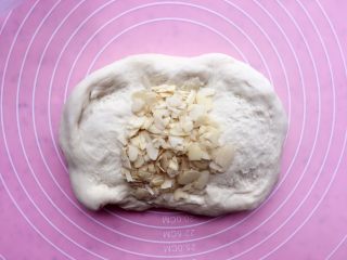 6、杏仁片贝果,排气后,放入杏仁片,揉均匀;