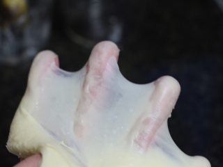 3、菠萝包,面团揉至扩展阶段,出膜。