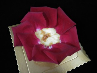 11、鲜花芝士蛋糕,鸡糕外围围一圈幕斯圈用于支撑花叶，先在最外围围上大片的花瓣。