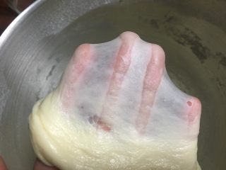 5、北海道吐司（70%冷藏中种）,厨师机揉面15分钟就可以拉出手套膜