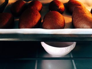 16、迷你巧克力麻薯软欧,烤箱进行2发，发酵功能38度，40分钟，底下放碗开水。