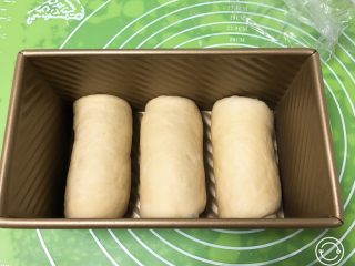 17、快速早餐吐司片-鸡蛋味,放入吐司盒，盖上保鲜膜。