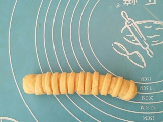 13、毛毛虫面包,卷起来以此类推做好其余的面包胚子，进行发酵。