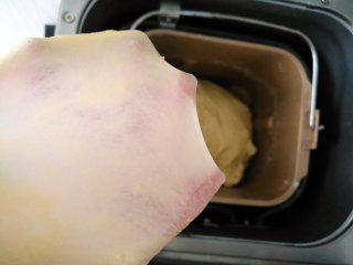 4、 红薯小面包,揉至出薄膜