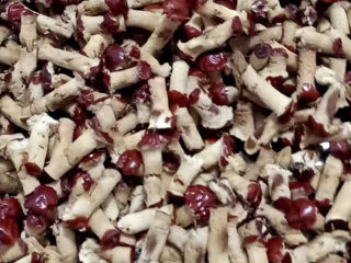 1、奶枣,红枣去核