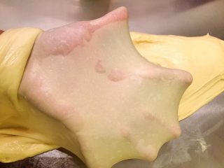 3、奶酪小餐包,20分钟后检查面团状态，能拉出均匀不易破的手套膜