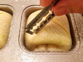 12、奶酪小餐包,烤箱预热180度，准备少许面粉（配方外），均匀地筛在面包上，取一刀片切个＂X＂字母