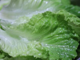 17、牛奶土司三明治,生菜洗净「适量」