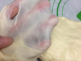 3、紫薯原味拼色梅花吐司（中种法）,加入黄油继续揉，揉到可以扯出透明的薄膜。