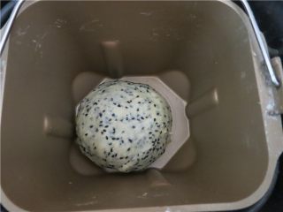 5、嘎嘣脆哒黑芝麻磨牙棒,待揉面程序结束，芝麻已经完全裹入面团，程序进入发酵阶段。