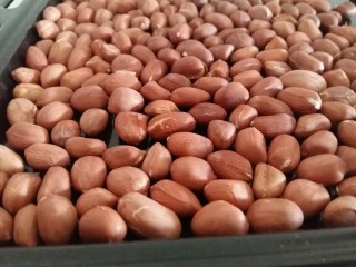 4、花生酱,烤好的花生,拿出来放凉。烤好后有微微的裂开。