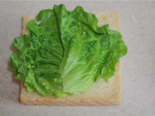 7、小熊土司盒,在土司上铺上一片生菜
