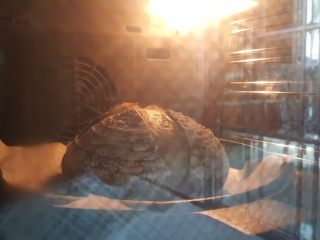 9、 天然酵种割口欧包,放入预热好的烤箱中，用任何可以想到的办法制造蒸汽，220度中下层烤35分钟