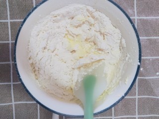 8、蔓越莓饼干,用刮刀搅拌均匀