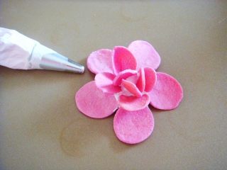 13、出水芙蓉饼干,再挤上点棉花糖，随意摆放小号花瓣。