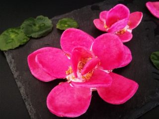 19、出水芙蓉饼干,芙蓉披红鲜。