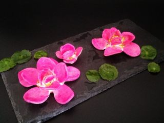 20、出水芙蓉饼干,下有并根藕，上有并头莲。